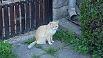 DSC01466