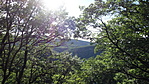DSC01510