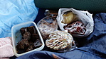 DSC01600