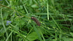 DSC02001