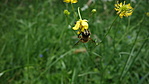 DSC02023