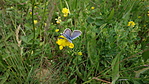 DSC02070