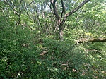 IMG_20220504_101412