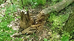 IMG_20220509_102059