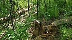 IMG_20220509_102104