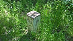 WP_20220501_13_46_03_Pro