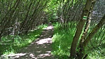 WP_20220501_13_48_46_Pro