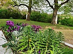 IMG_20220501_145653