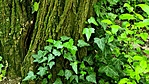 20220508_110209_04