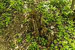 20220510-IMG_5484
