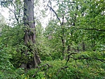 IMG_20220501_135156