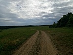A láptavak felé