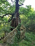 IMG_20220514_165119