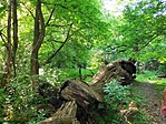 IMG_20220514_165033