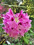 IMG_20220514_172729