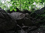 IMG_20220502_194534