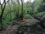 IMG_20220502_194711