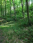 IMG_20220515_174500