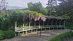 IMG_20220513_171824