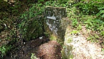 IMG_20220514_085923