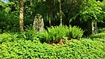IMG_20220514_090018_1