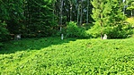IMG_20220514_090423