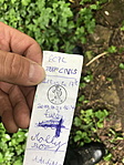 Balassagyarmat Palóc liget (GCPL)