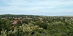 IMG_20220520_164136