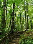 IMG_20220520_121800