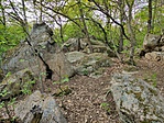IMG_20220430_185108