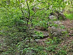 IMG_20220430_185202
