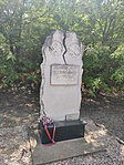 IMG_20220520_133555