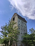 IMG_20220520_134405