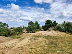 IMG_20220521_112148