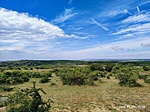 IMG_20220521_105816