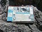 IMG_20220522_125250_330