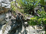 IMG_20220522_125104_550