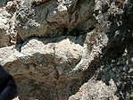 IMG_20220522_125107_510