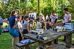 _DSC5534