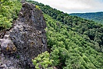 _DSC5661