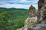 _DSC5660