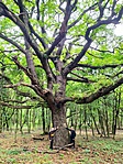 IMG_20220528_132137