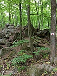 IMG_20220506_145754