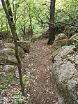 IMG_20220506_145528