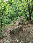 IMG_20220506_145544