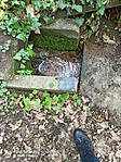 IMG_20220506_150158