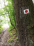 IMG_20220506_150228