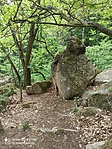 IMG_20220506_145541