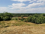 IMG_20220522_124520