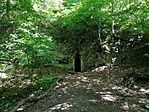 IMG_20220528_123050